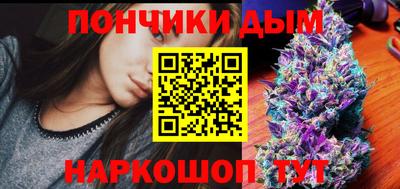 гидра Гай