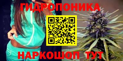 мяу мяу мука Гатчина