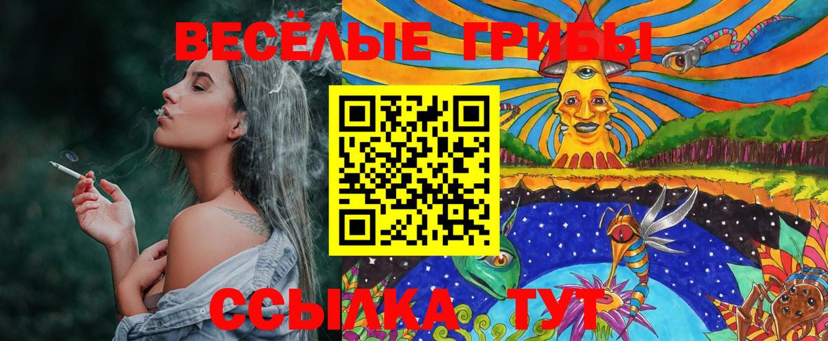Галлюциногенные грибы GOLDEN TEACHER  Вход с VPN  Чехов 